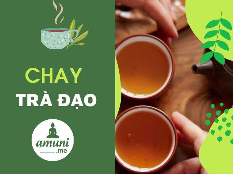 Chay-tra-dao-amuni