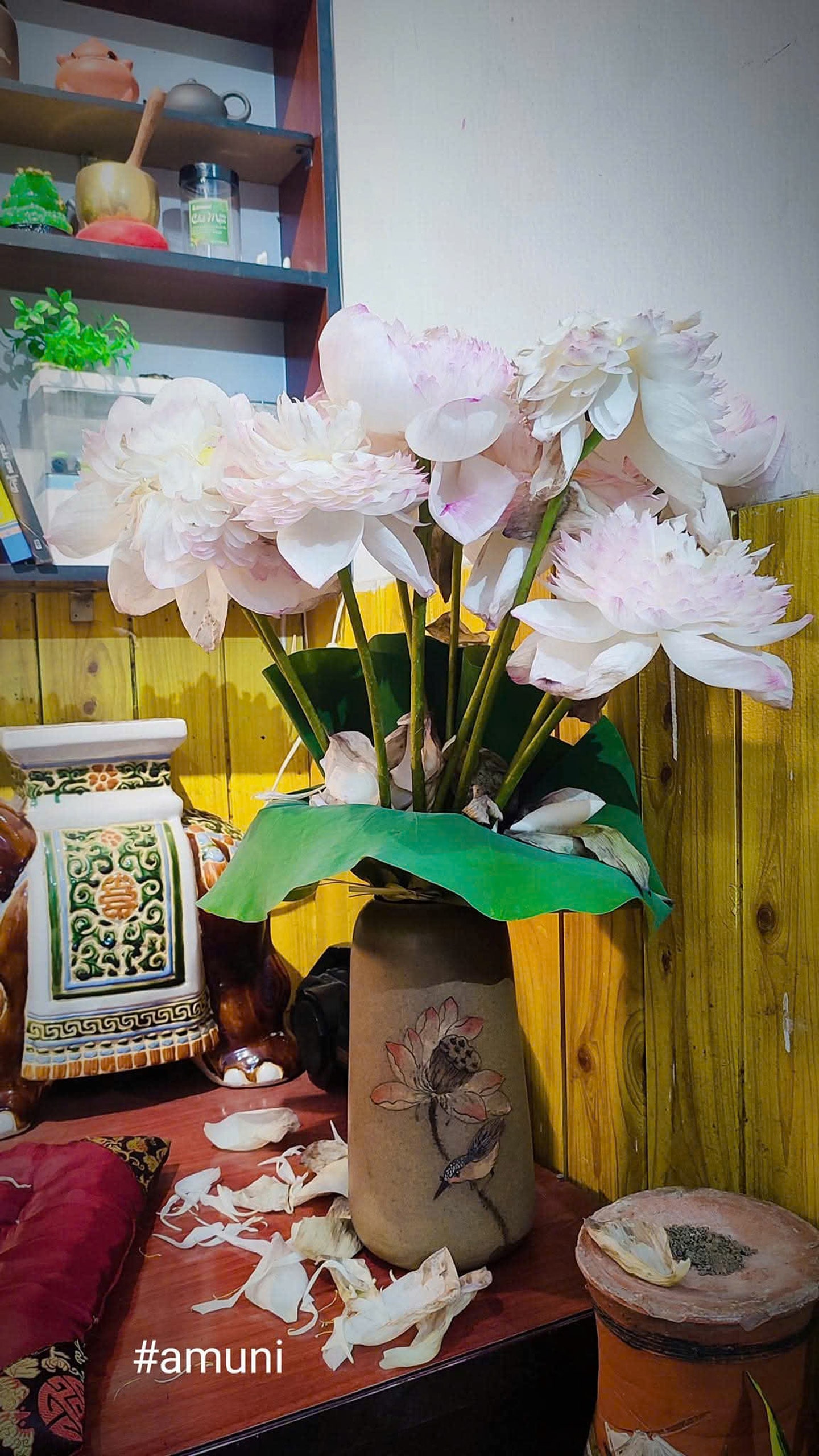 amuni goc nho binh an hoa sen cung phat 16