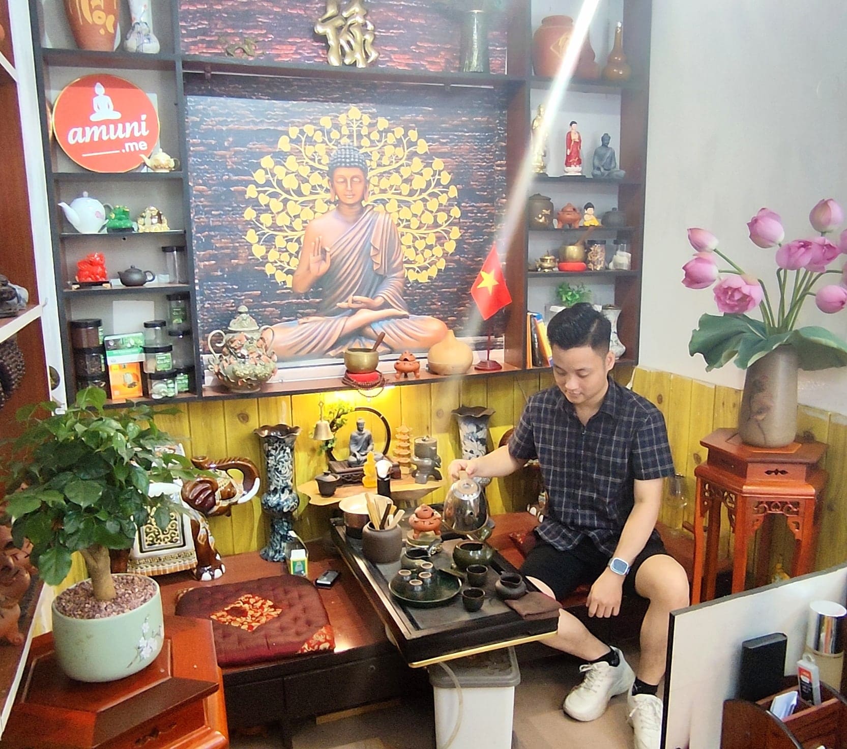 amuni goc nho binh an hoa sen cung phat 2