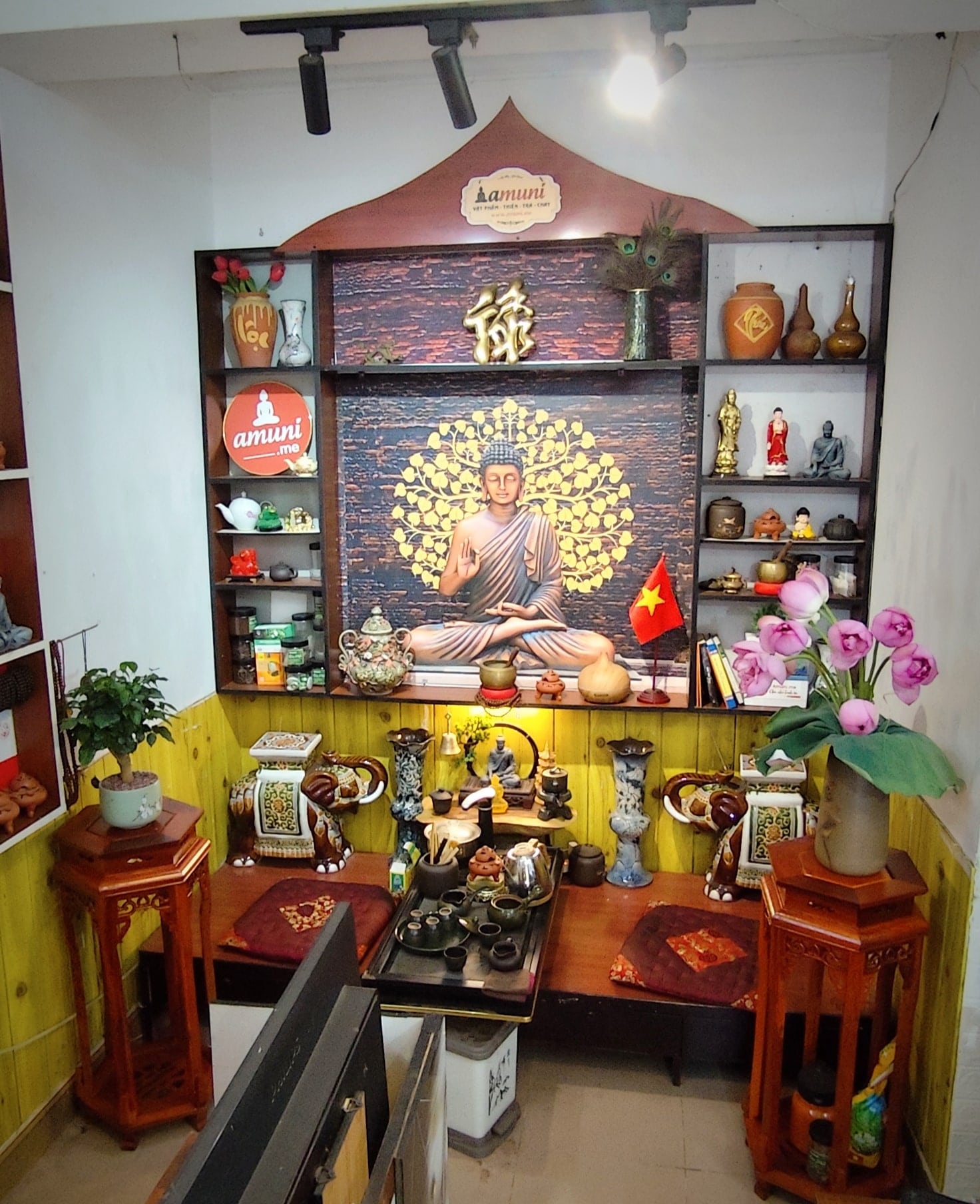 Trang chủ 14 amuni goc nho binh an hoa sen cung phat 3